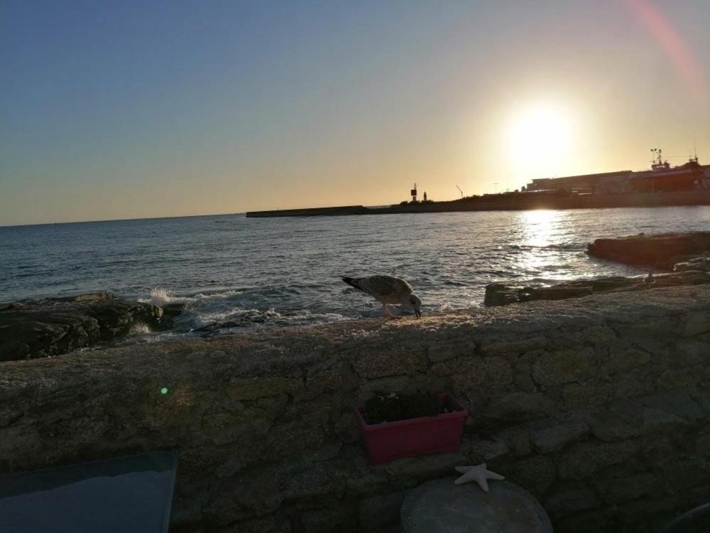 La Rose Des Sables Hotel Treffiagat Bagian luar foto