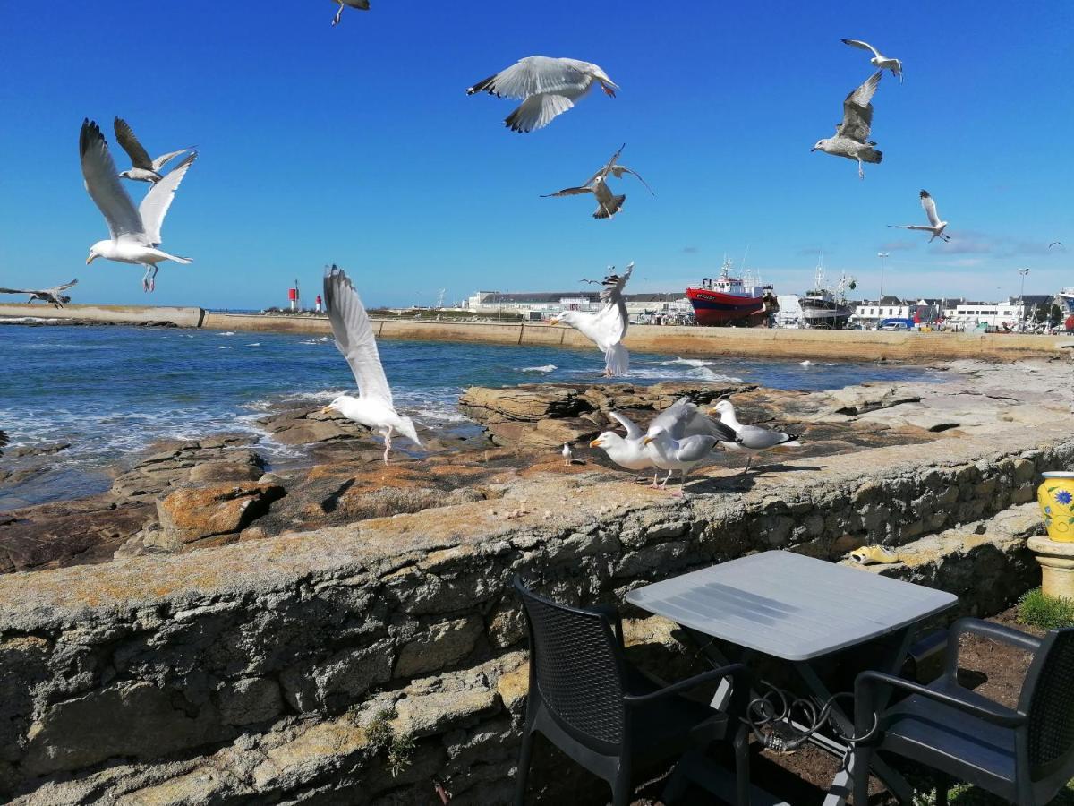 La Rose Des Sables Hotel Treffiagat Bagian luar foto